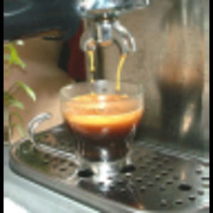 Meet your Posher, Ron